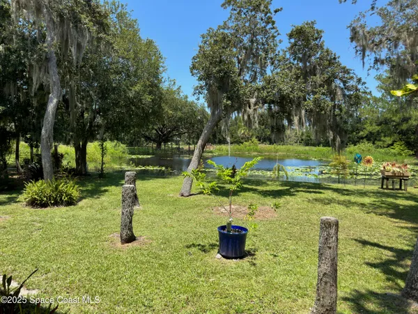 a view of a garden with swimming pool