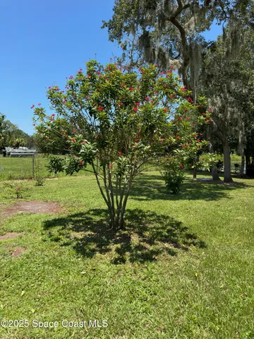 a view of yard with green space