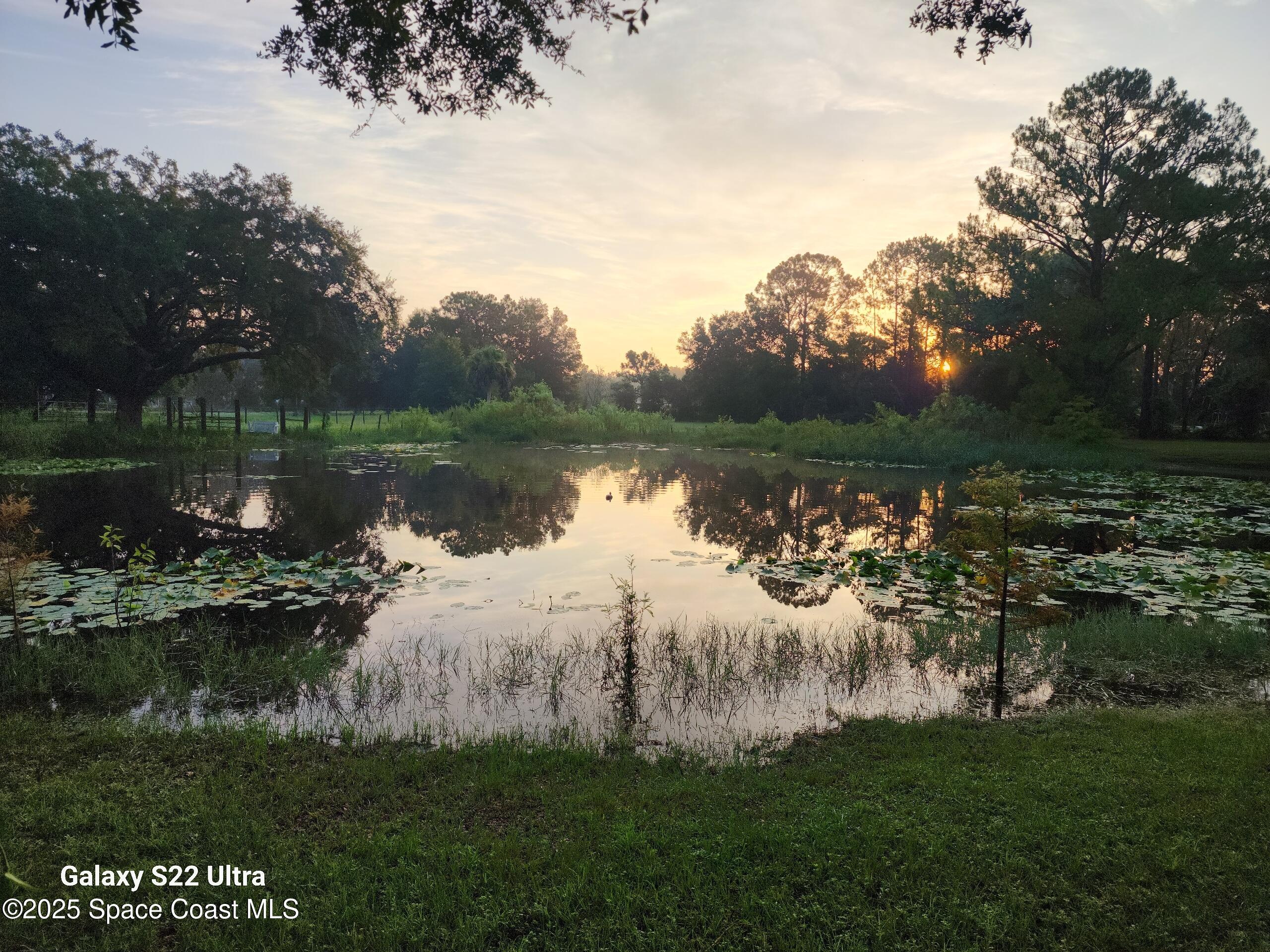 3931 U.S. Rte 1 Mims, FL 32754 - Photo 42 of 47 a view of a lake with a big yard