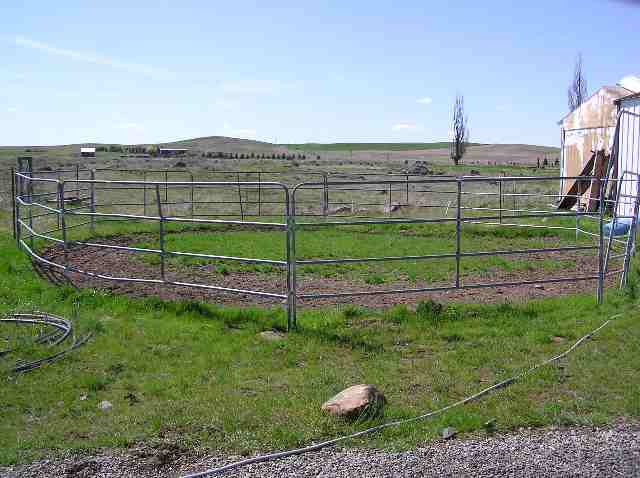 29907 West Tucker Prairie Road Edwall, WA 99008 - Photo 4 of 9