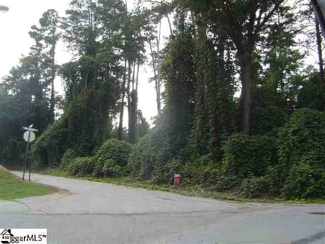 0 Jackson Street Duncan, SC 29334 - Photo 1 of 1 Gallery Image 1