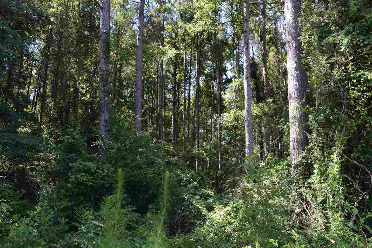 1 Scr Raleigh, MS 39153 - Photo 2 of 10 Photo 2