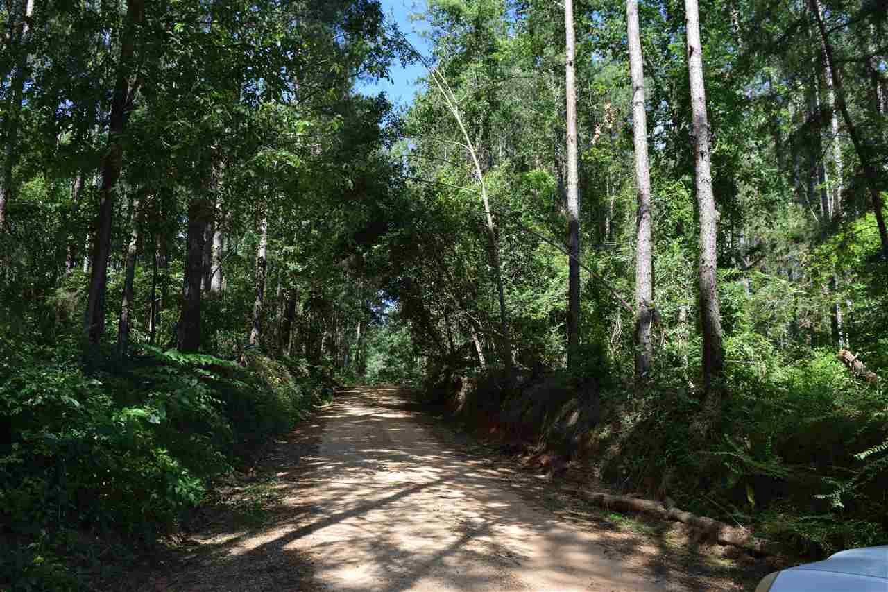 1 Scr Raleigh, MS 39153 - Photo 7 of 10 Photo 7