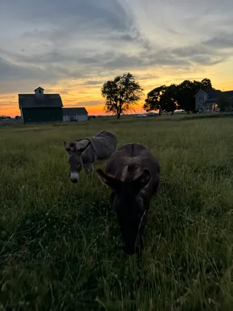 $275,000 | 82 North 23rd Road, Peru, IL 61354