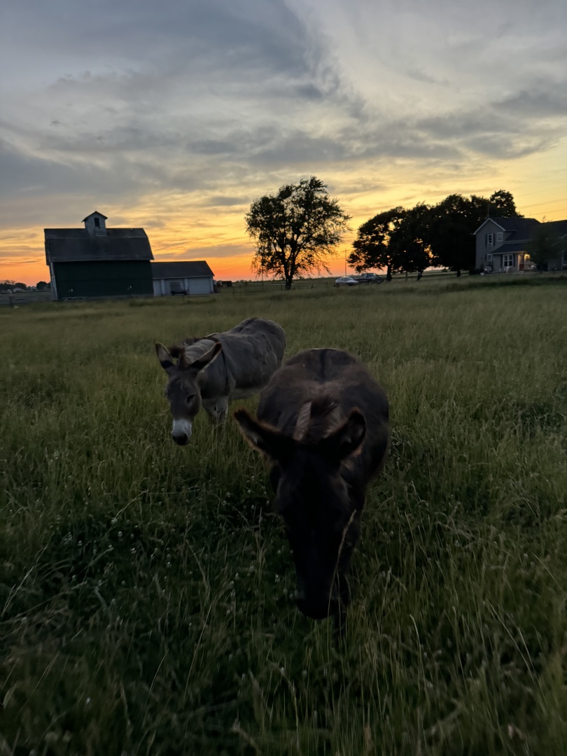 82 North 23rd Road Peru, IL 61354 - Photo 20 of 20