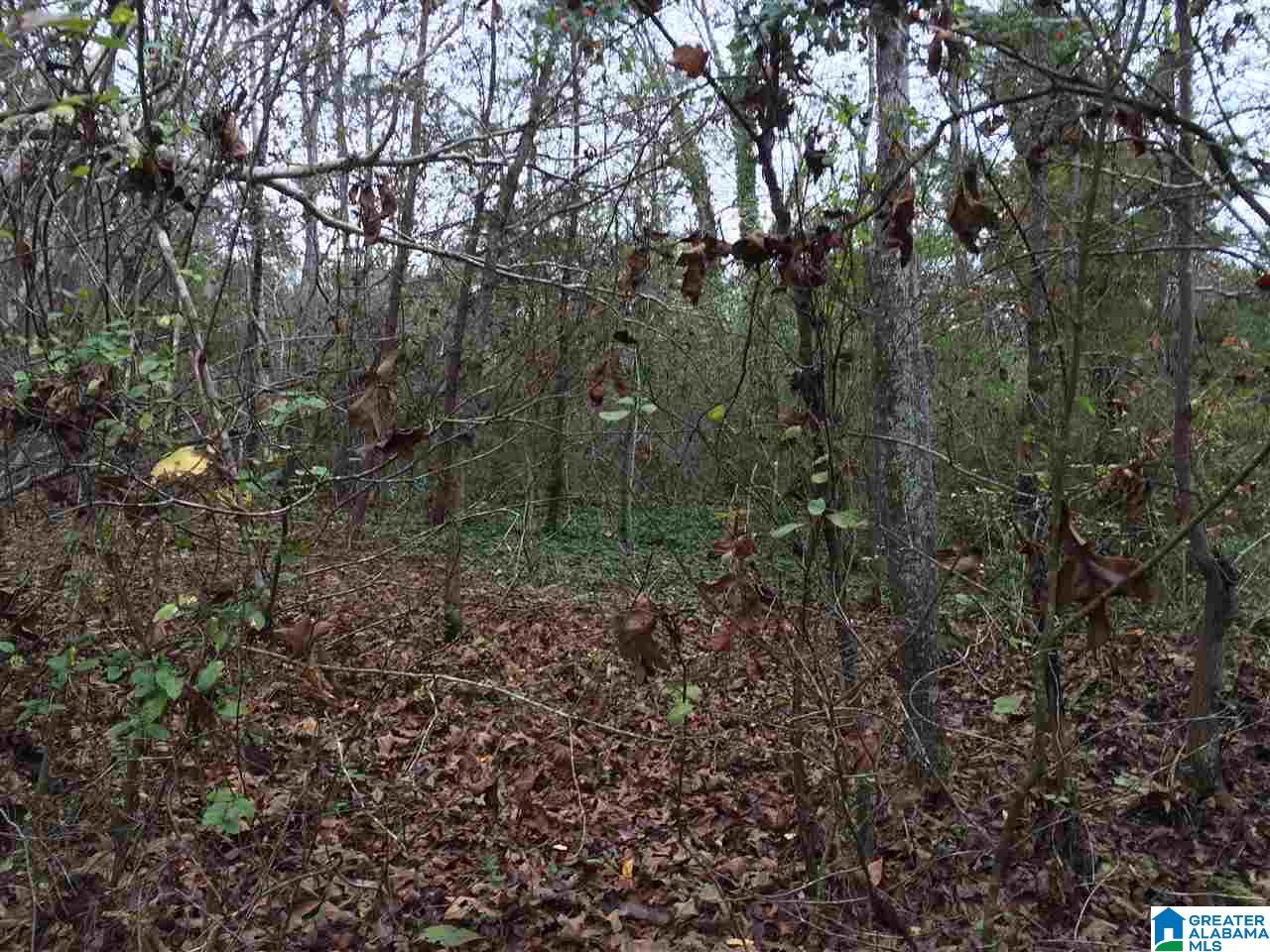Posey Lane, Unit 11 Union Grove, AL 35175 - Photo 7 of 12
