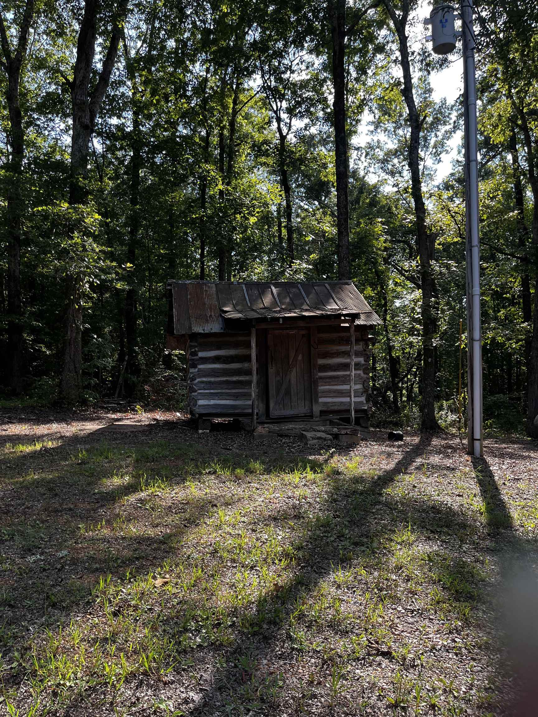 1800 Mt Gilead Road Bethel Springs, TN 38315 - Photo 13 of 13 a backyard of a house with lots of green space
