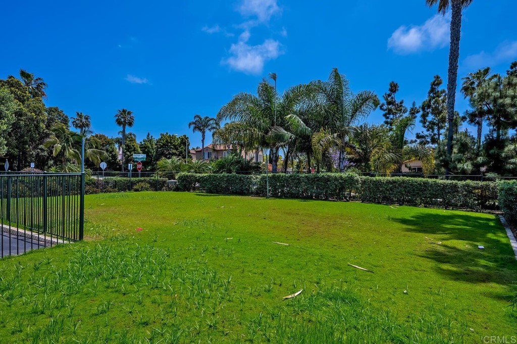 533 Anchorage Avenue Carlsbad, CA 92011 - Photo 43 of 58 a view of a garden with a building in the background