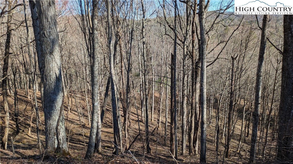 Staggs Creek Road Warrensville, NC 28693 - Photo 18 of 37 Gallery Image 18