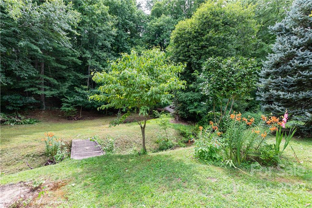 22-24 Cub Road Asheville, NC 28806 - Photo 3 of 15 Gallery Image 3