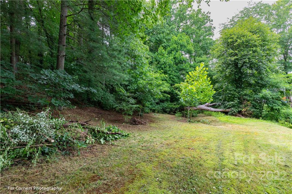 22-24 Cub Road Asheville, NC 28806 - Photo 6 of 15 Gallery Image 6