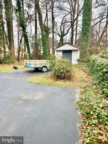 a view of yard with trees