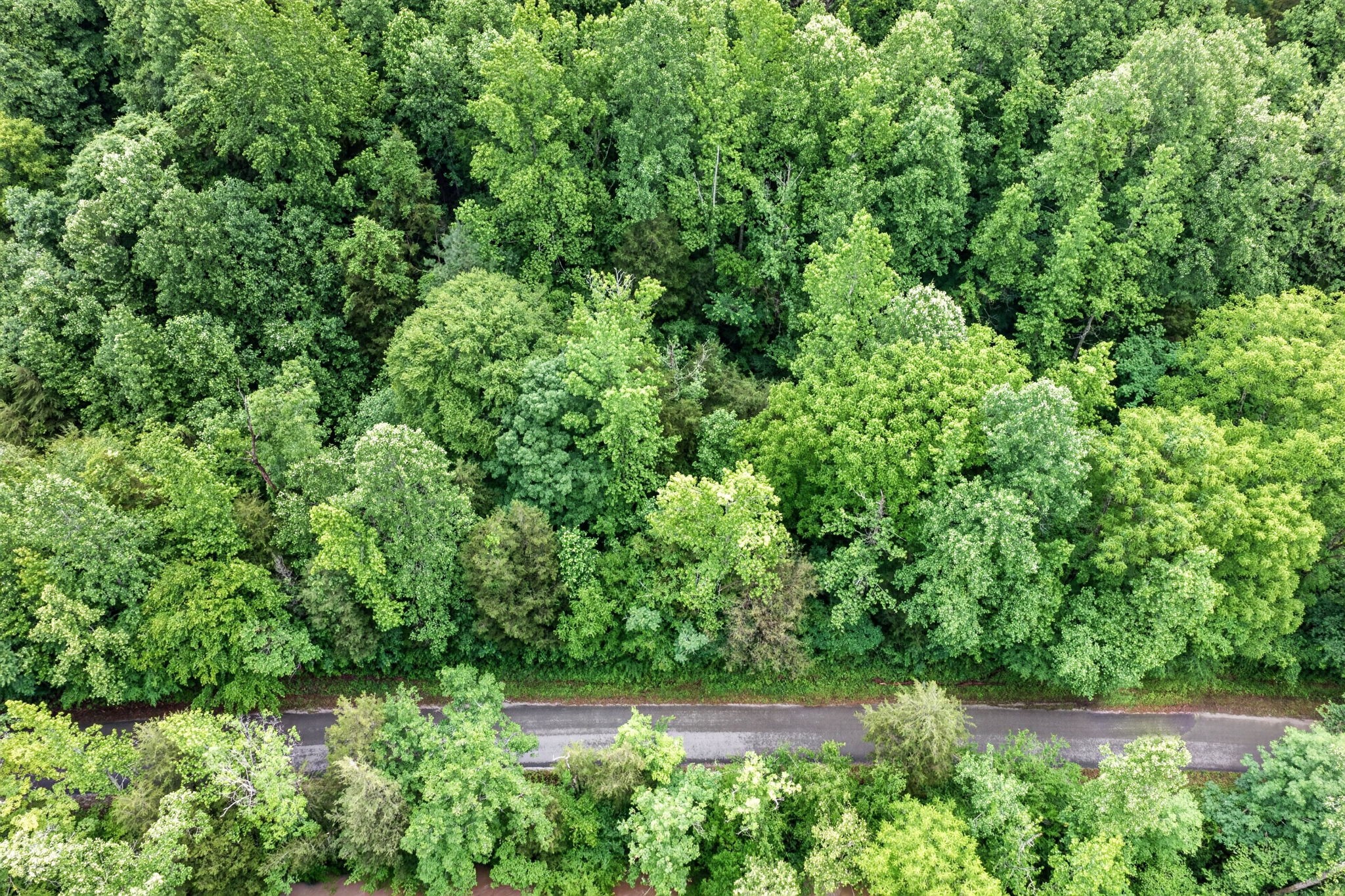 457 Shiloh Road Crawford, TN 38554 - Photo 15 of 22