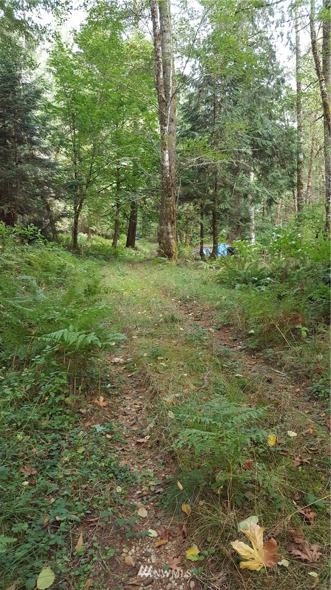 810 East Benson Loop Road Shelton, WA 98584 - Photo 10 of 14 Gallery Image 10