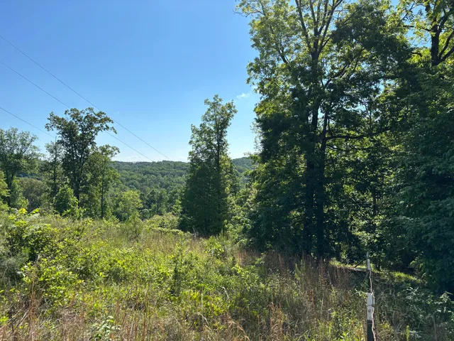 $75,000 | Lot 21-25 Van Davis Road Northwest, Georgetown, TN 37336