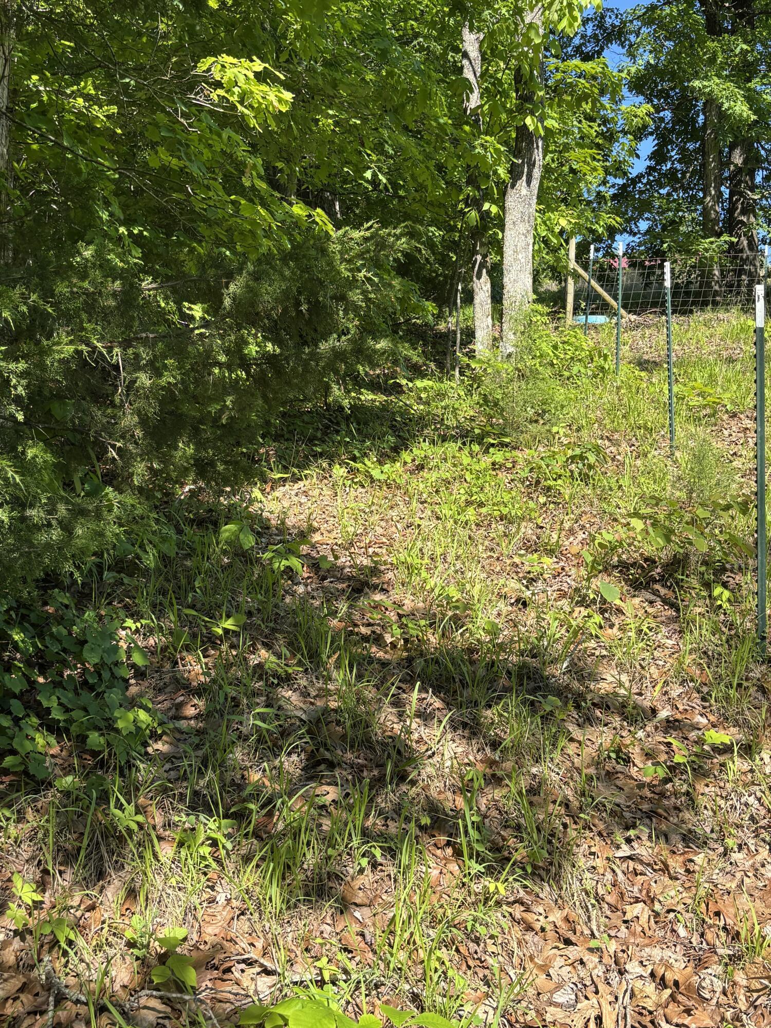Lot 21-25 Van Davis Road Northwest Georgetown, TN 37336 - Photo 2 of 4 2