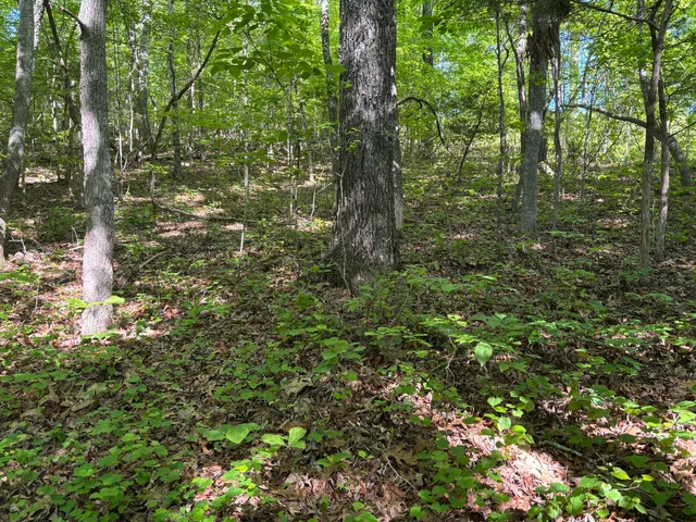 $75,000 | Lot 21-25 Van Davis Road Northwest, Georgetown, TN 37336