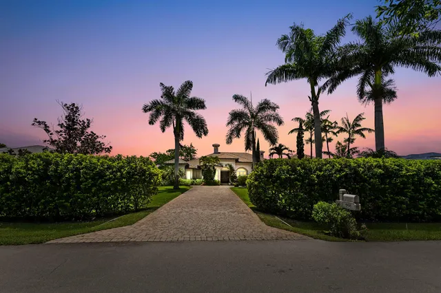 a view of a street with a palm trees