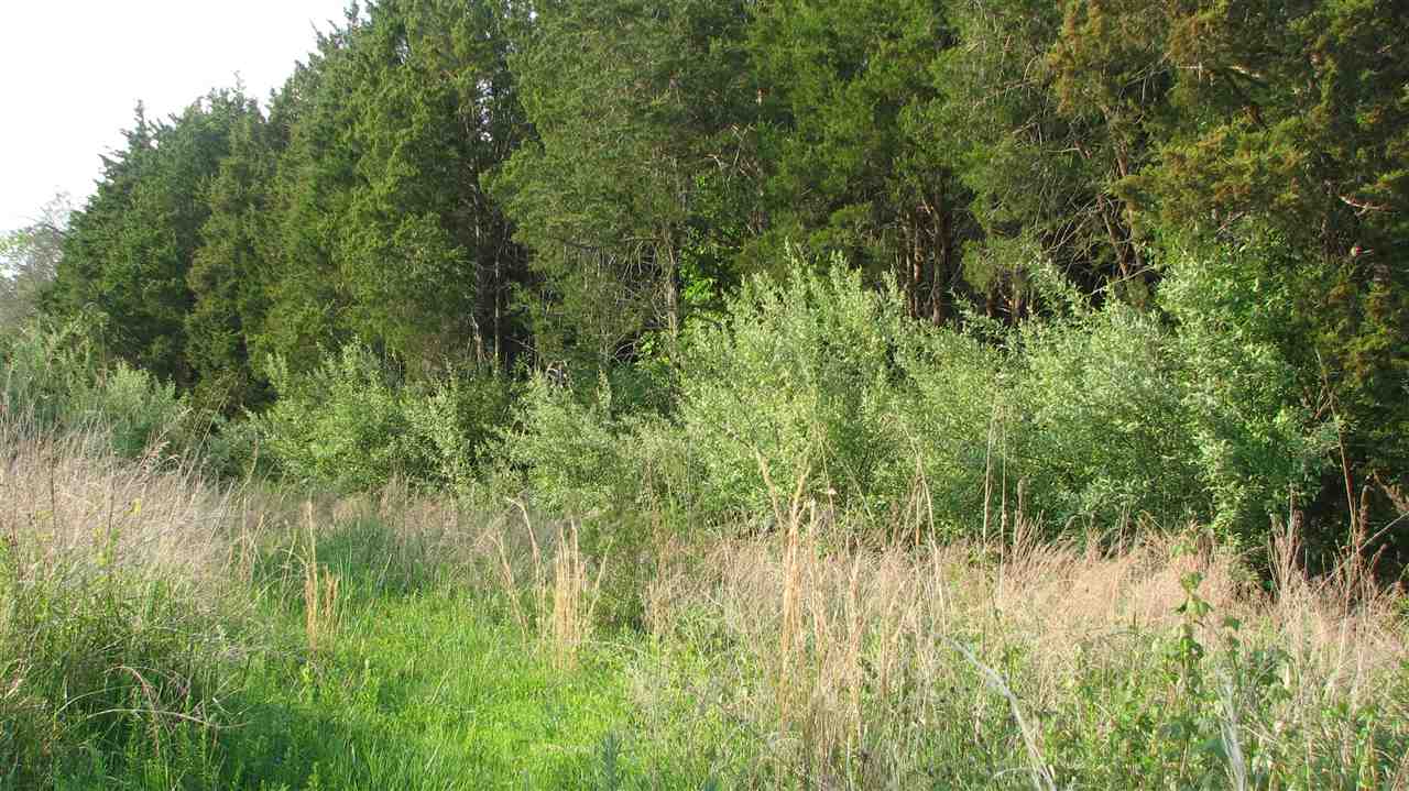 85-xx Venable Road Kents Store, VA 23084 - Photo 1 of 1 a view of a lush green space