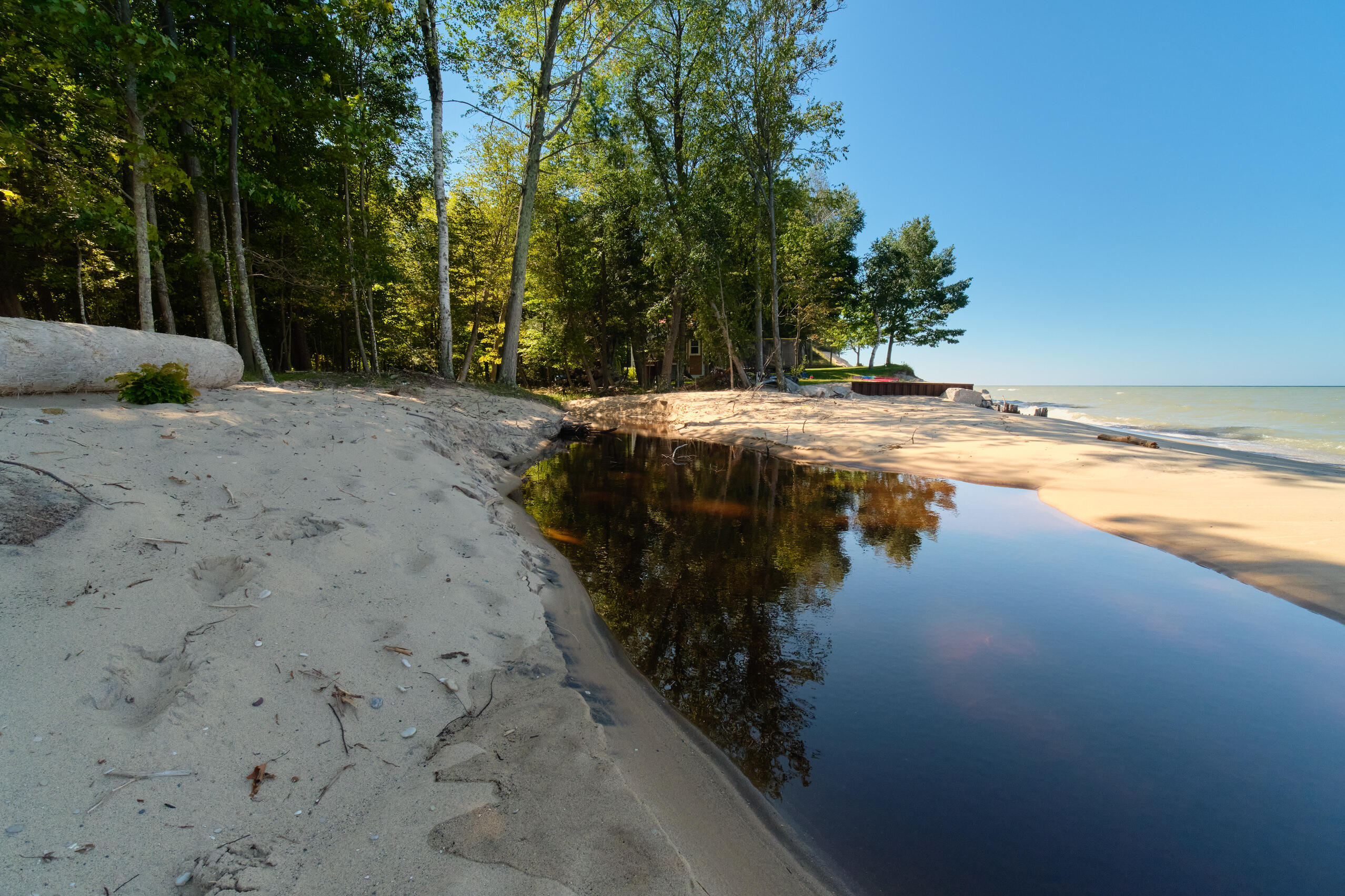 4582 West Fox Farm Road Manistee, MI 49660 - Photo 73 of 80 Children especially love the creek