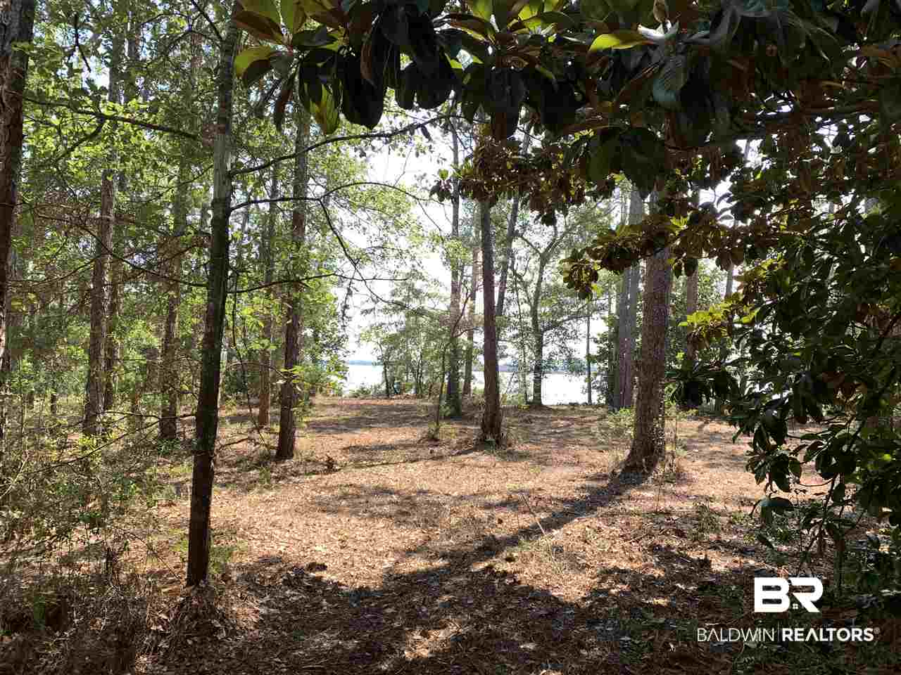Yucatan Drive Elberta, AL 36530 - Photo 7 of 15