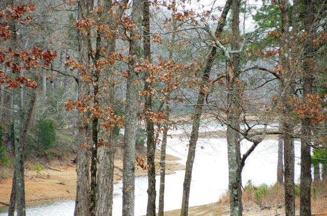 173 Jasper Road Modoc, SC 29838 - Photo 1 of 1 Main View
