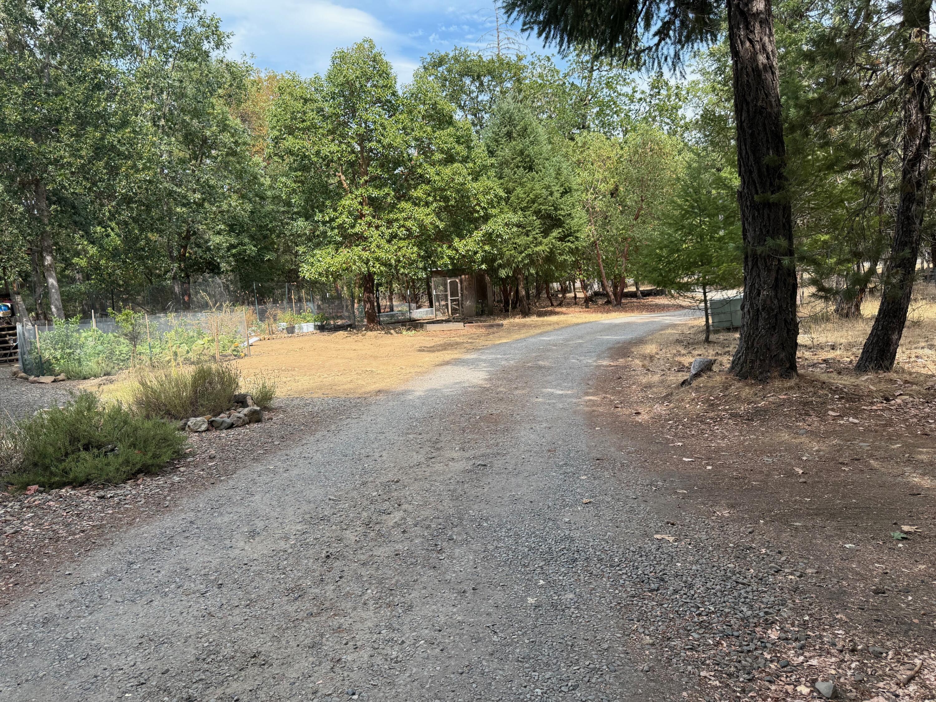 1800 Dick George Road Cave Junction, OR 97523 - Photo 36 of 37 Driveway to main road.