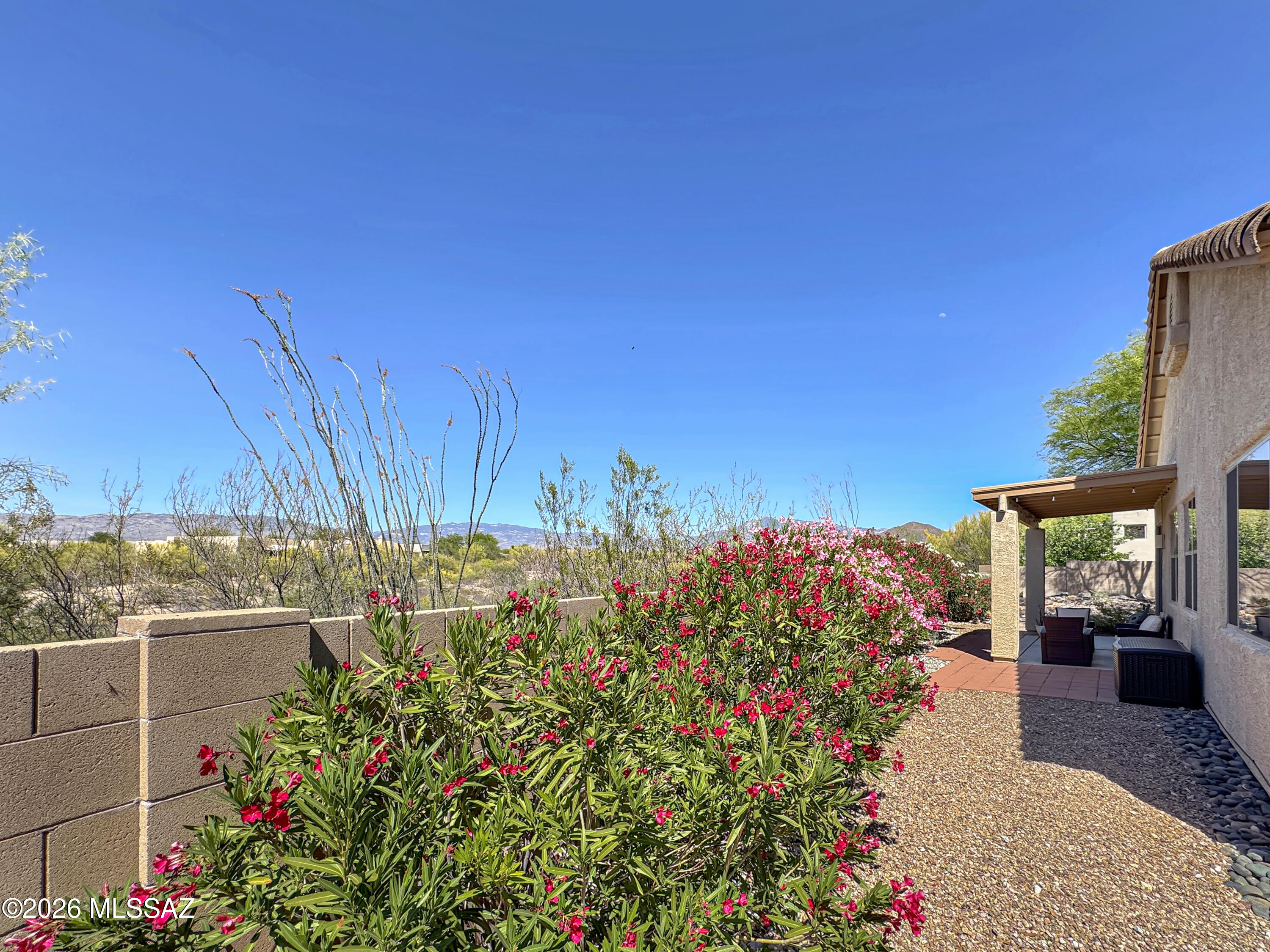 10835 South Heart Break Ridge Place Vail, AZ 85641 - Photo 6 of 49 a view of a garden
