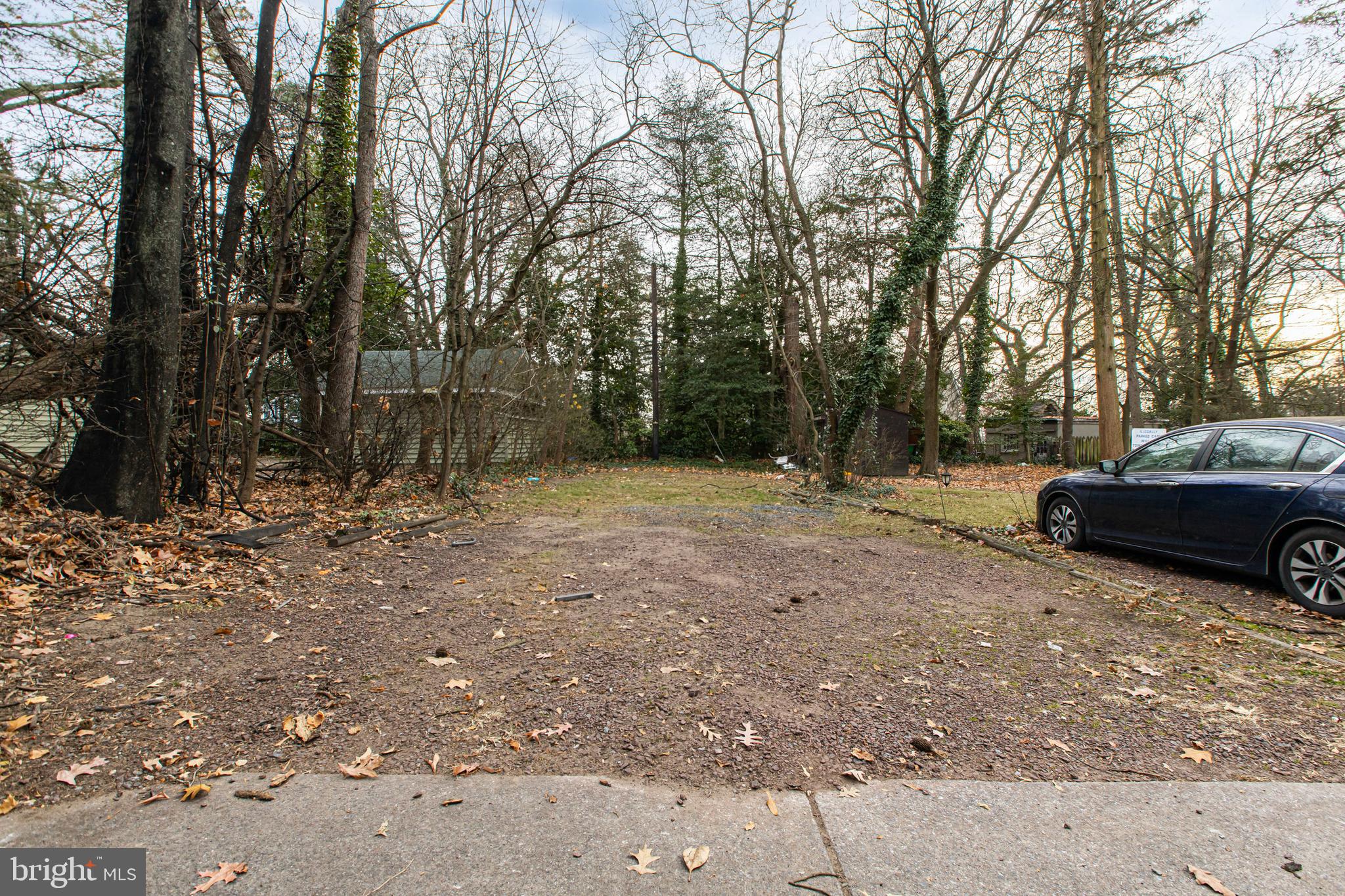 412 West Maple Avenue Merchantville, NJ 08109 - Photo 54 of 58 a view of a backyard with large trees