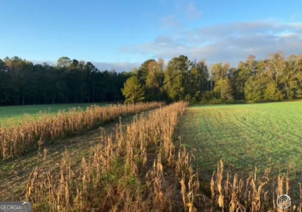 $825,000 | 55-ac Mt Carmel, Senoia, GA 30276