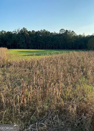 $805,950 | 0 Mt Carmel, Senoia, GA 30276