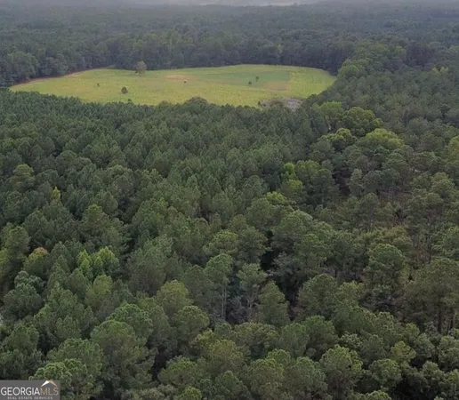 $805,950 | 0 Mt Carmel, Senoia, GA 30276