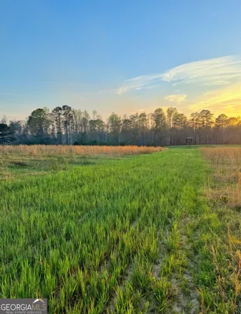 $805,950 | 0 Mt Carmel, Senoia, GA 30276