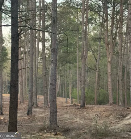 $805,950 | 0 Mt Carmel, Senoia, GA 30276