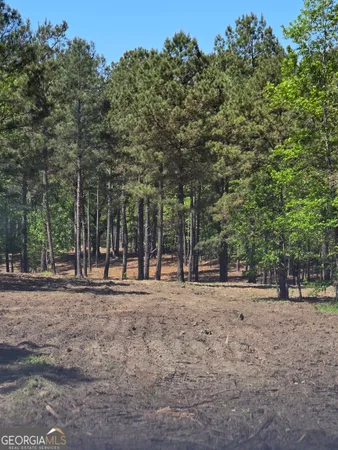 $805,950 | 0 Mt Carmel, Senoia, GA 30276