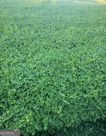 $805,950 | 0 Mt Carmel, Senoia, GA 30276