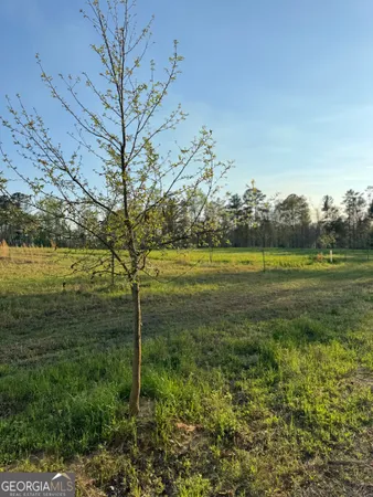 $805,950 | 0 Mt Carmel, Senoia, GA 30276