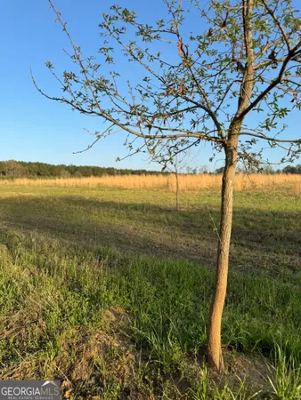 $805,950 | 0 Mt Carmel, Senoia, GA 30276