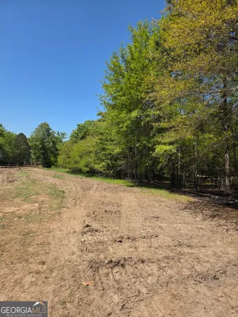 $805,950 | 0 Mt Carmel, Senoia, GA 30276