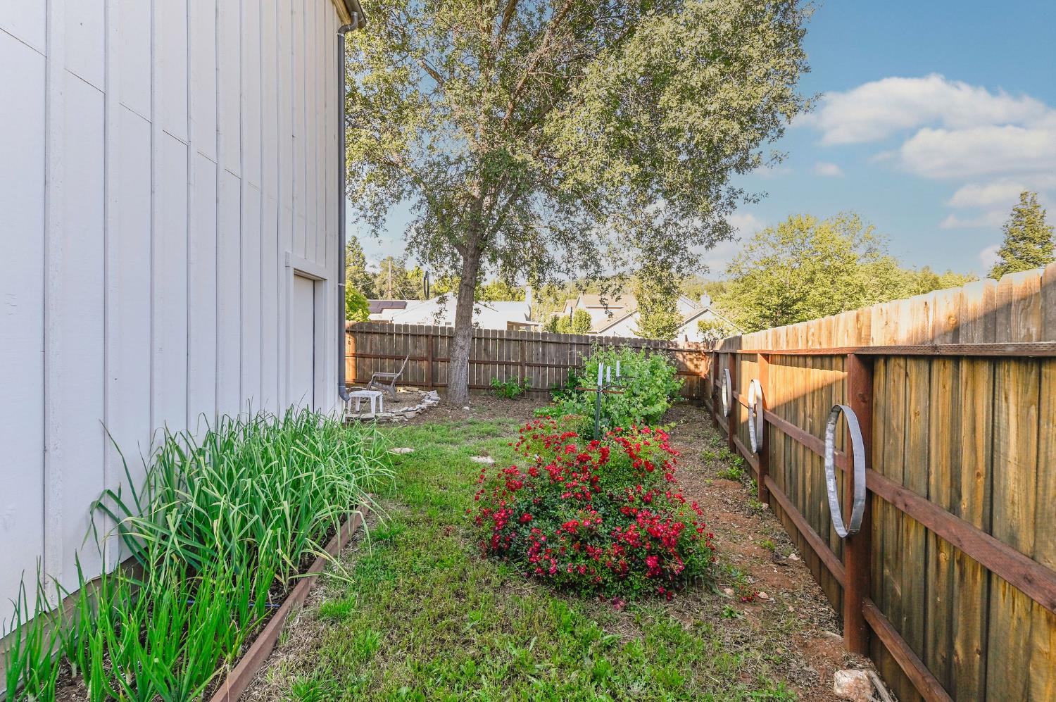 159 Stone Ridge Court Murphys, CA 95247 - Photo 63 of 96