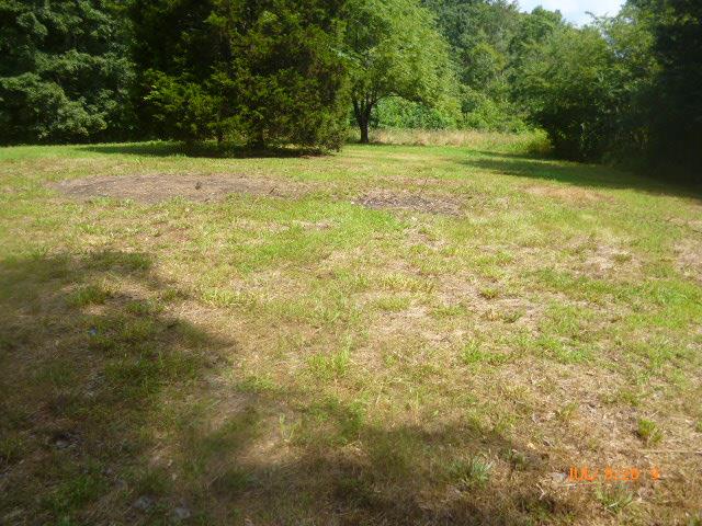 150 Short Road Dickson, TN 37055 - Photo 4 of 10 Back Yard