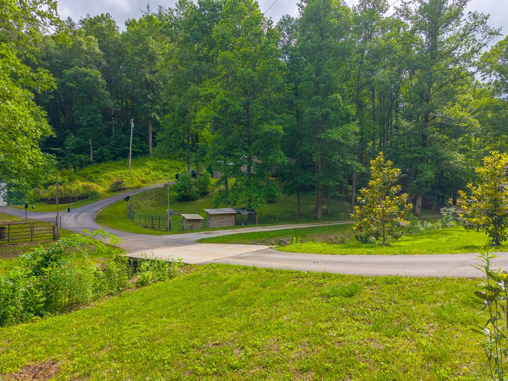 224 Cochrans Cr Road Robbinsville, NC 28771 - Photo 41 of 42
