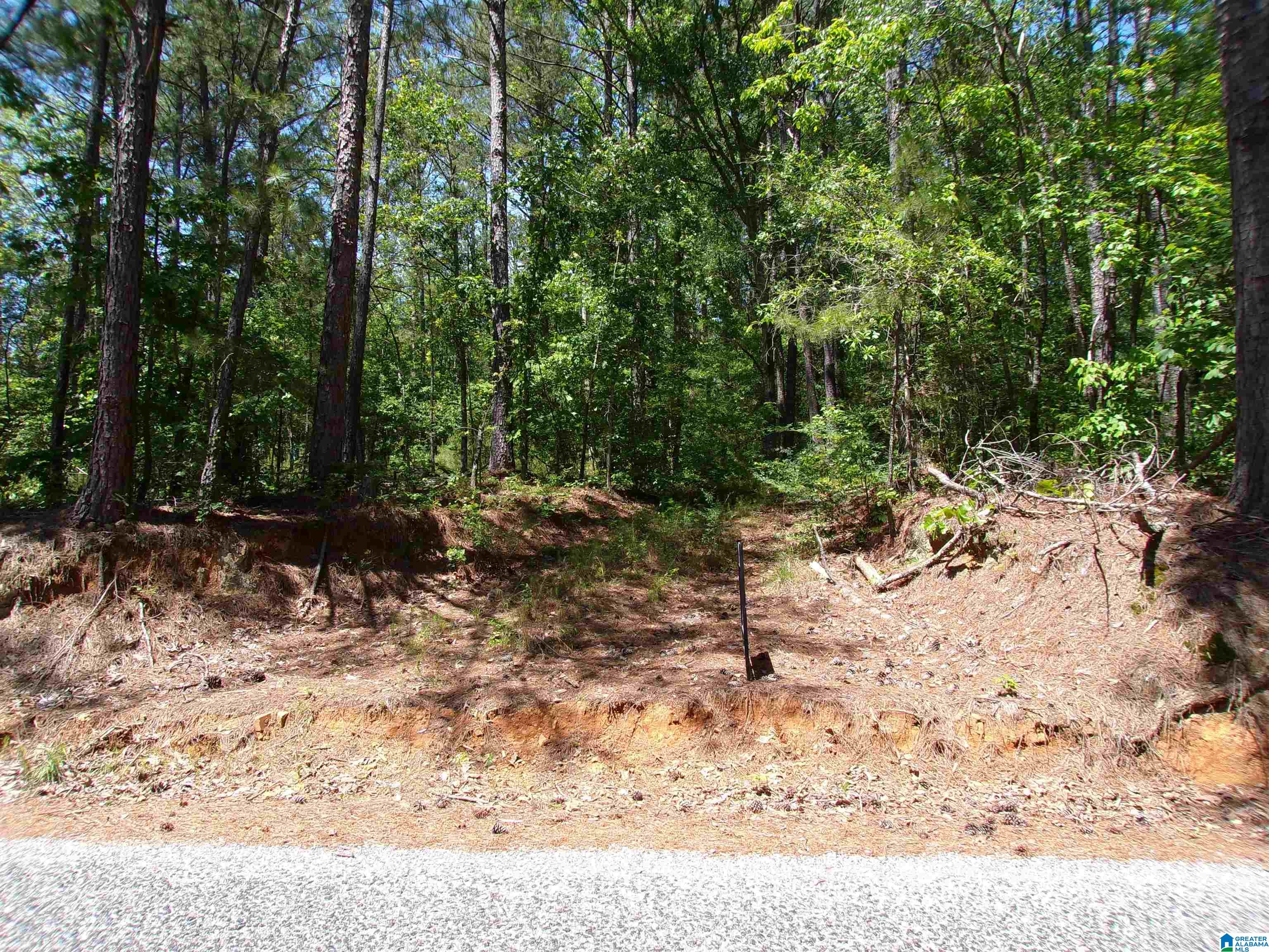 1 St Mary Road South, Unit 1 Lincoln, AL 35096 - Photo 2 of 23