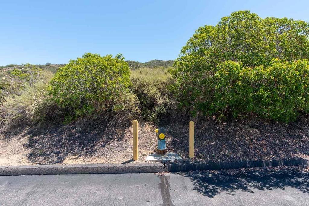 18055 Sunset Point Poway, CA 92064 - Photo 27 of 39 a view of a yard with a tree