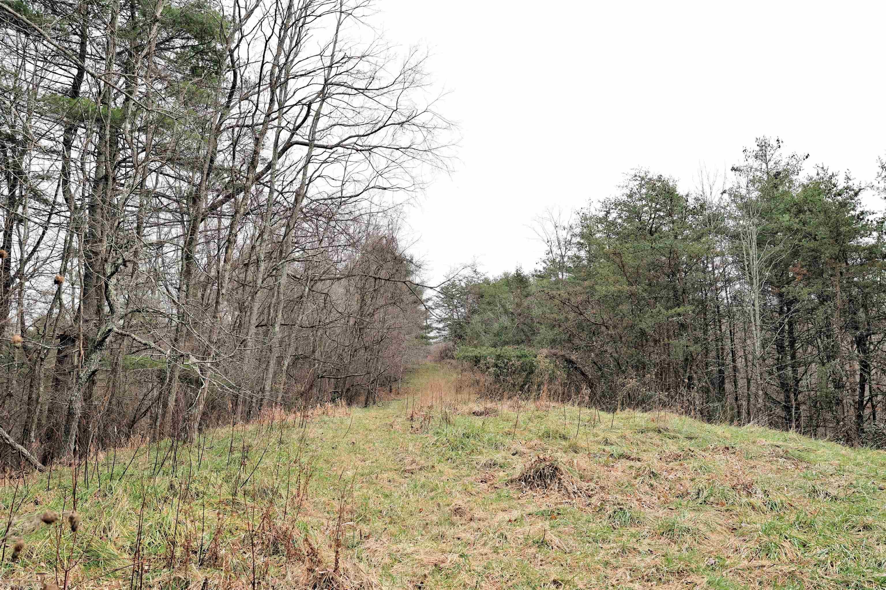 809 Huffville Road Northeast Pilot, VA 24138 - Photo 21 of 37 Gallery Image 21
