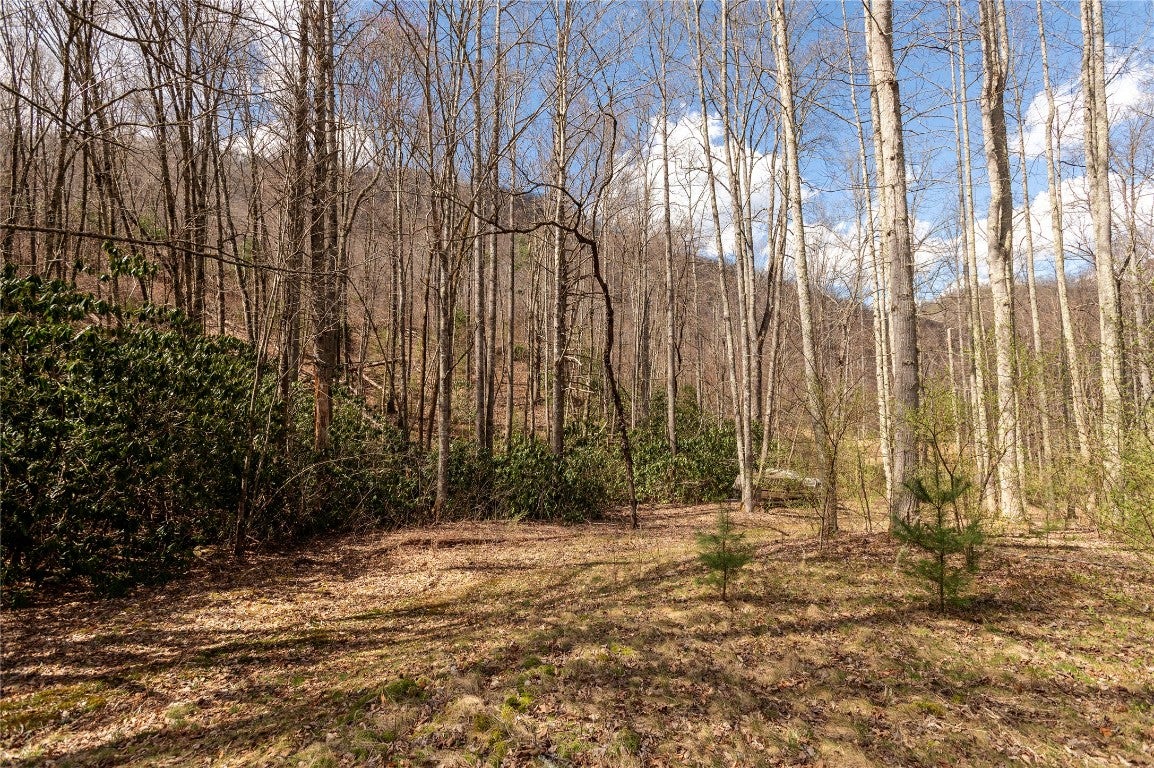 1641 White Rock Road Cullowhee, NC 28723 - Photo 17 of 27 Gallery Image 17