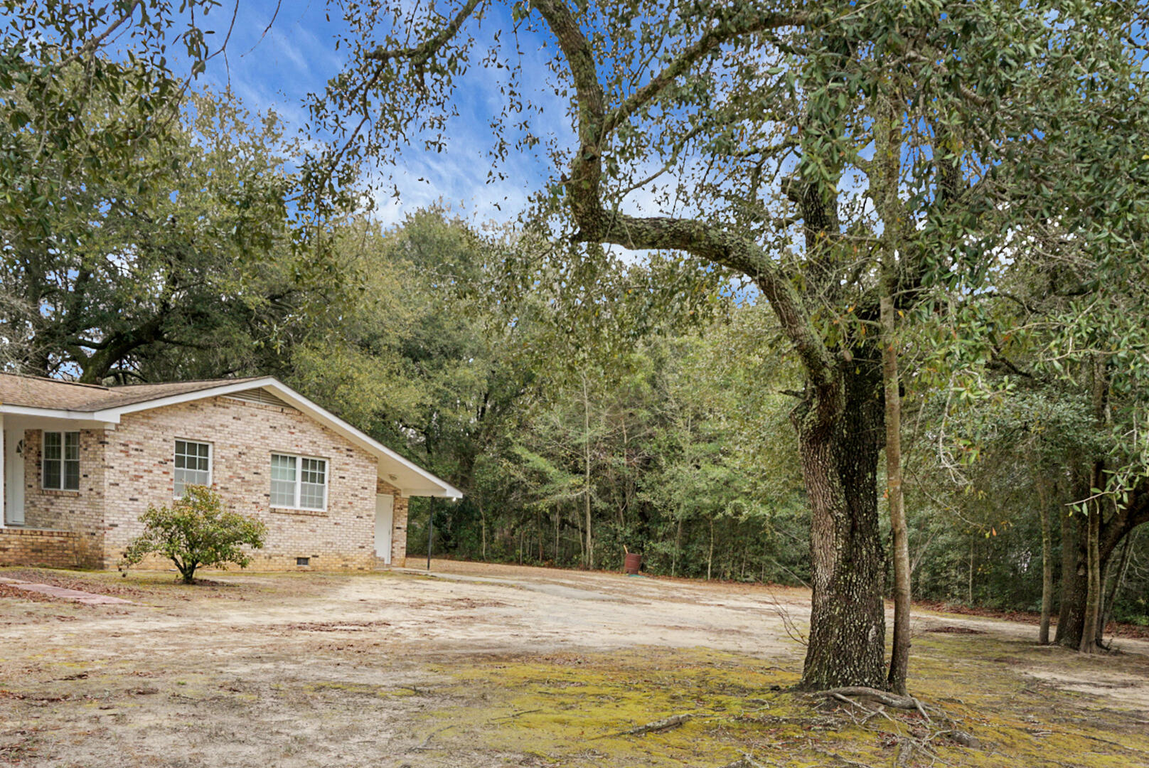 429 Sandhill Road Dorchester, SC 29437 - Photo 23 of 24 side yard