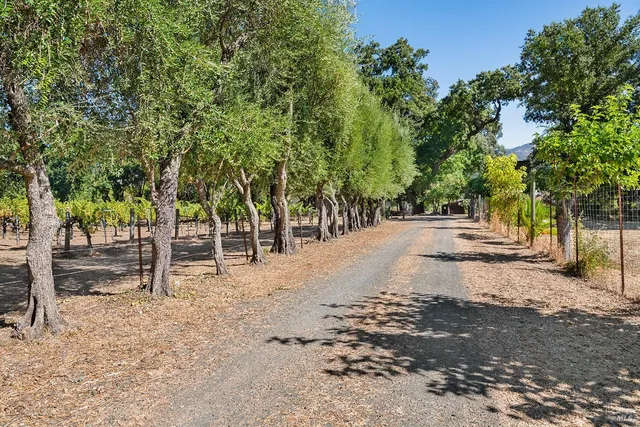 a view of road with trees