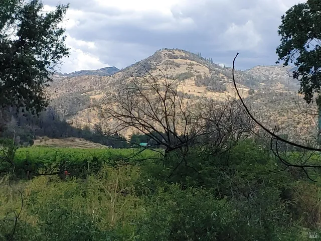 a view of empty space with large trees