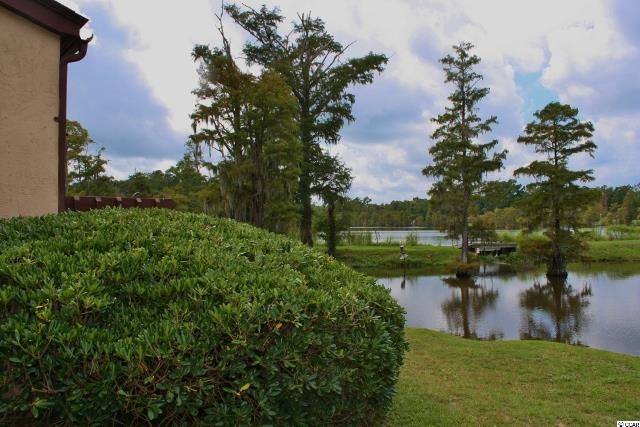 73 Mayrant Bluff Road, Unit 74 Georgetown, SC 29440 - Photo 20 of 25 Gallery Image 20